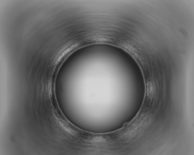 X0000113210390200909171539