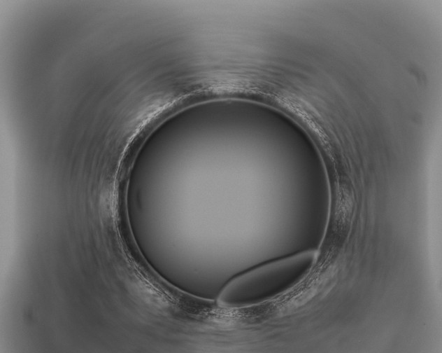 X0000113210391200909171539