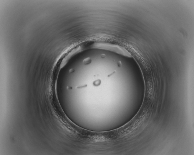 X0000113210392200909171539