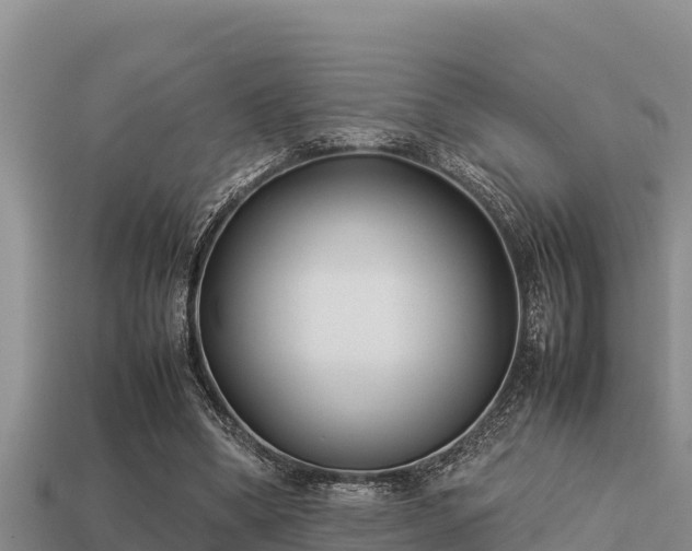 X0000113210394200909171539