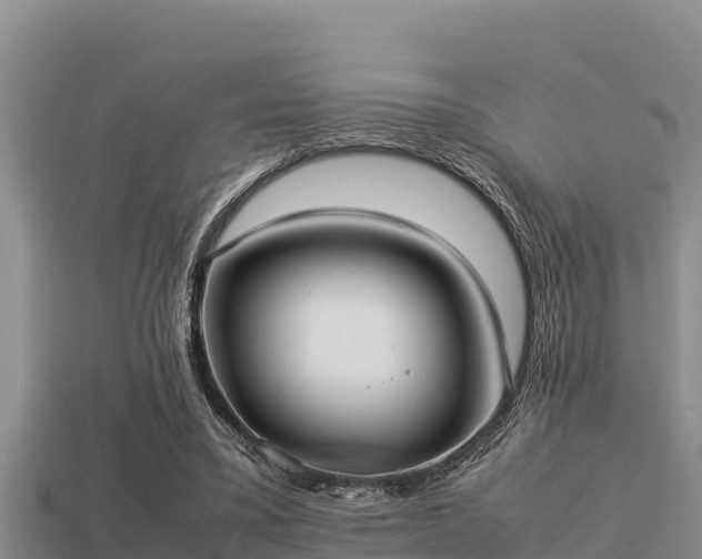 X0000113210395200909171539