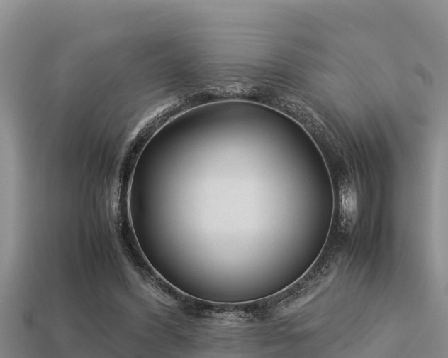 X0000113210396200909171539