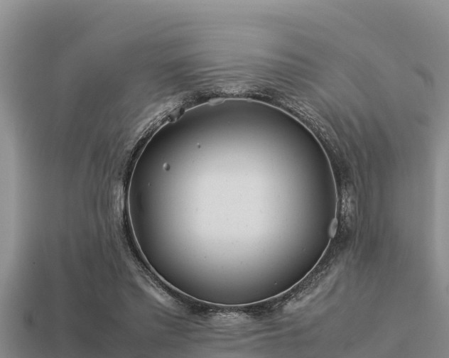 X0000113210397200909171539