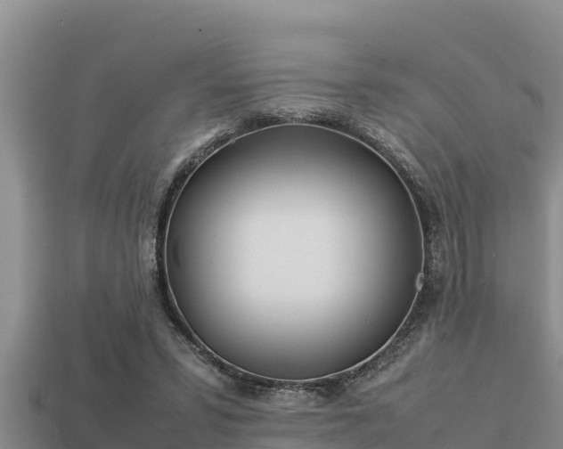 X0000113210399200909171539