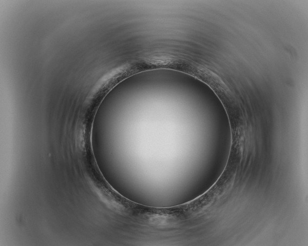 X0000113210400200909171539