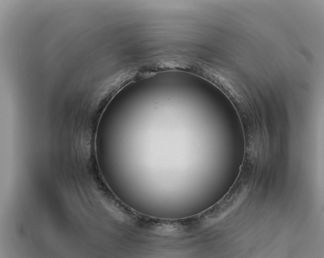 X0000113210402200909171539