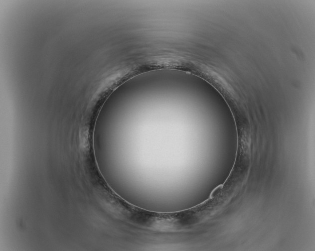 X0000113210403200909171539