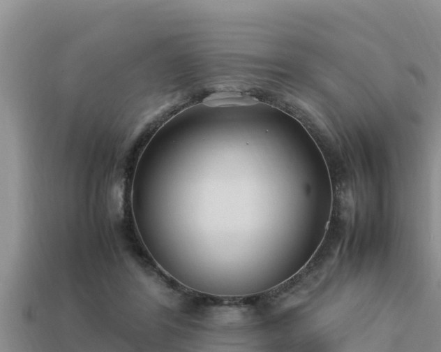 X0000113210404200909171538