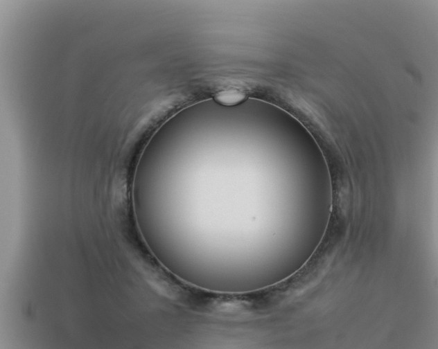 X0000113210407200909171538