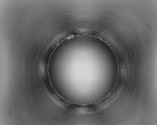 X0000113210408200909171538