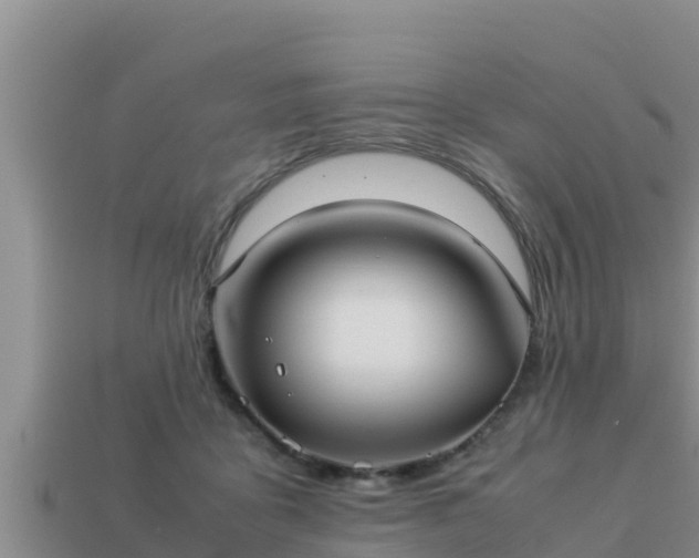 X0000113210411200909171538