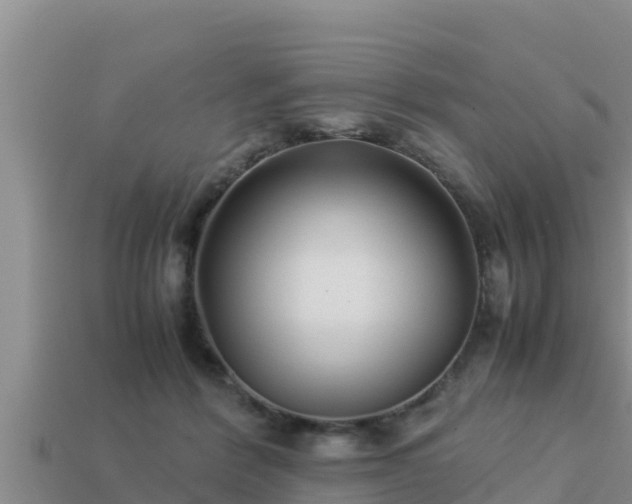 X0000113210412200909171538