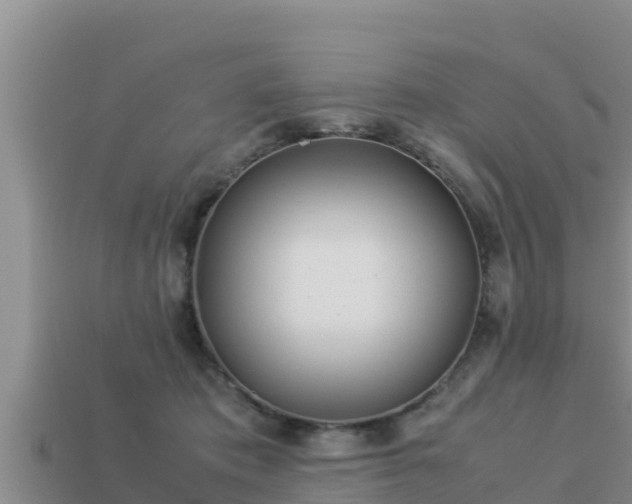 X0000113210413200909171538