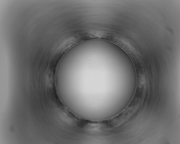 X0000113210414200909171538