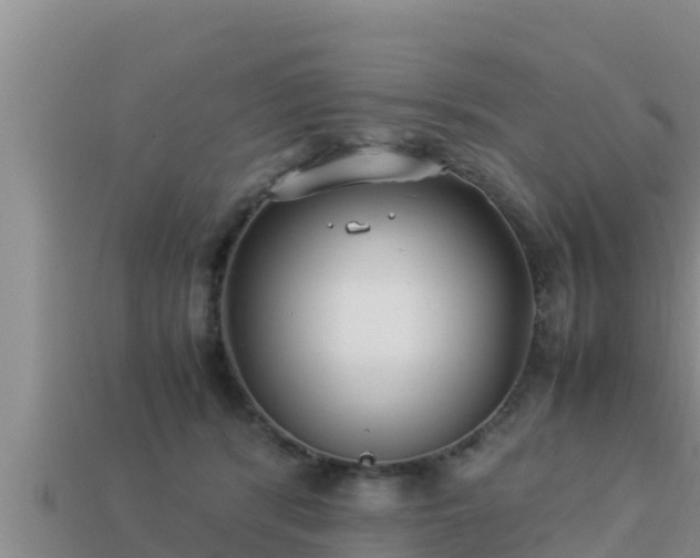 X0000113210416200909171538