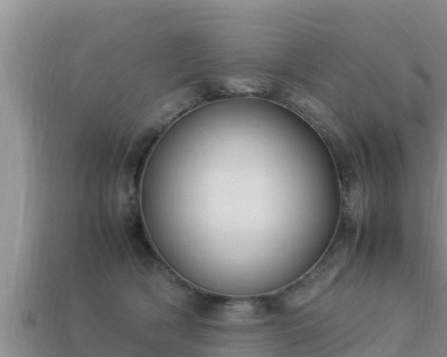 X0000113210418200909171538