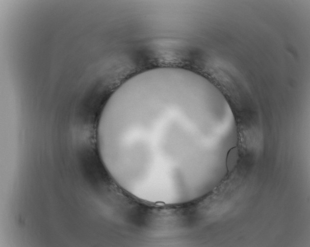 X0000113210419200909171538