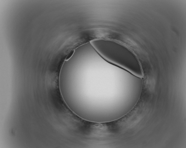 X0000113210421200909171538