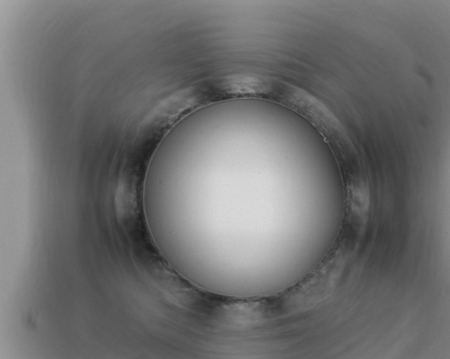 X0000113210422200909171538