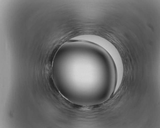 X0000113210425200909171538