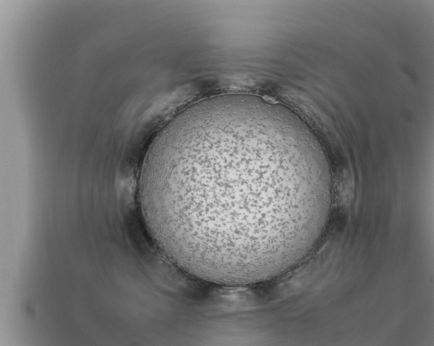 X0000113210427200909171538