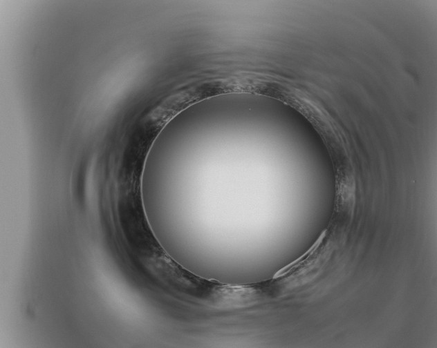 X0000113210429200909171538