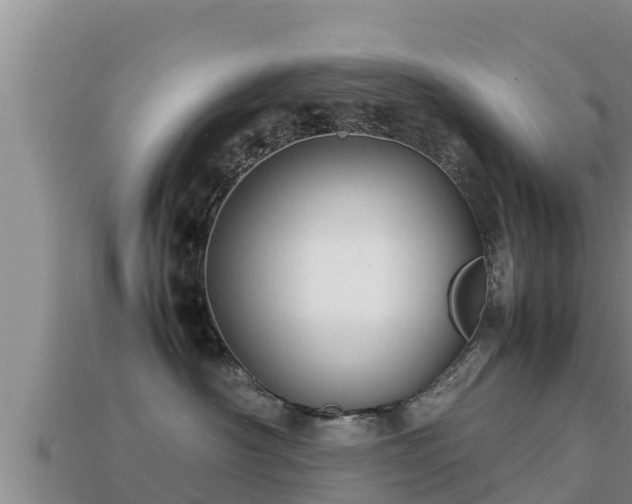 X0000113210430200909171538