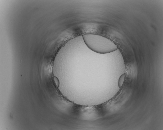 X0000113210431200909171538