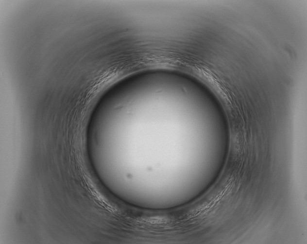 X0000113210433200909171538