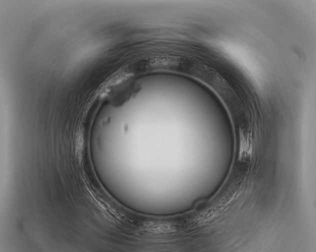 X0000113210435200909171538