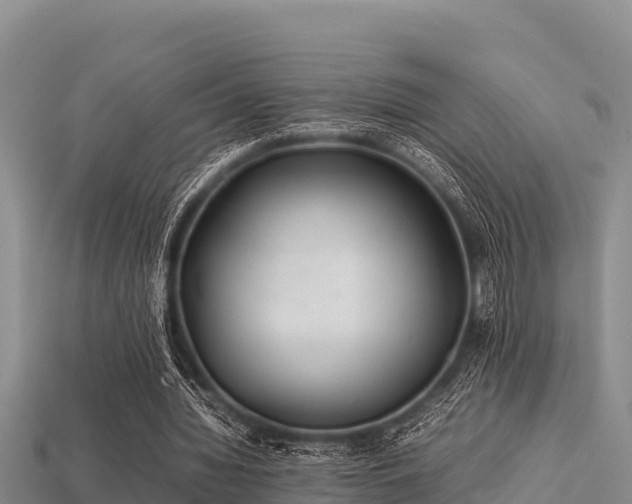 X0000113210436200909171538