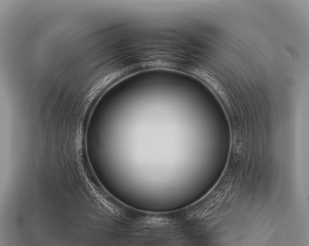 X0000113210437200909171538