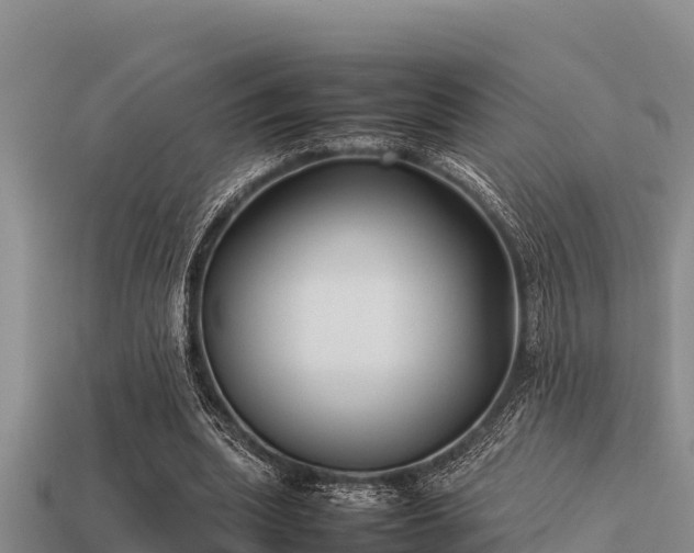 X0000113210439200909171538