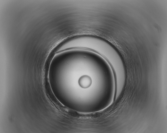 X0000113210440200909171538