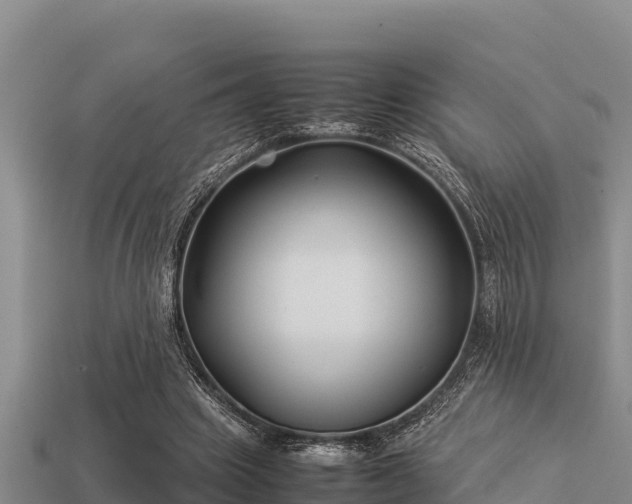 X0000113210441200909171538