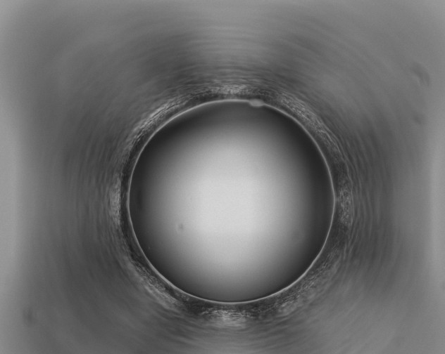 X0000113210442200909171538