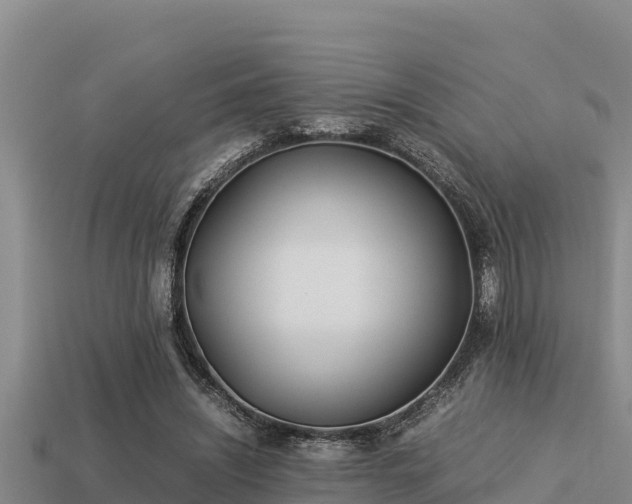 X0000113210444200909171538