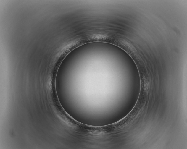 X0000113210447200909171538