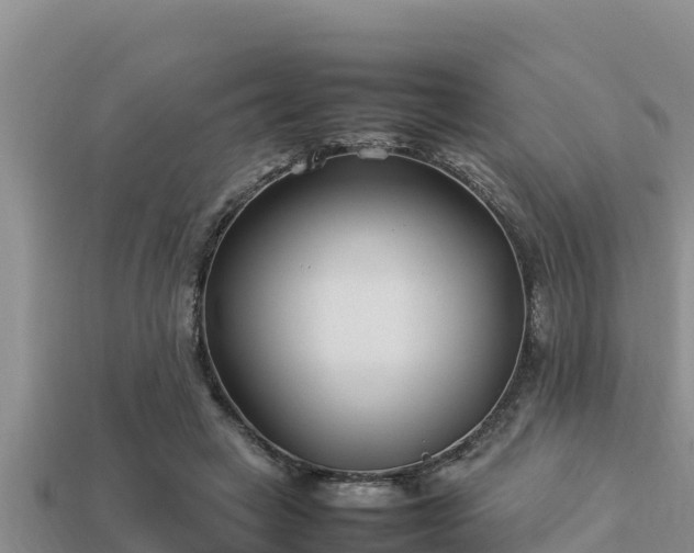 X0000113210449200909171538