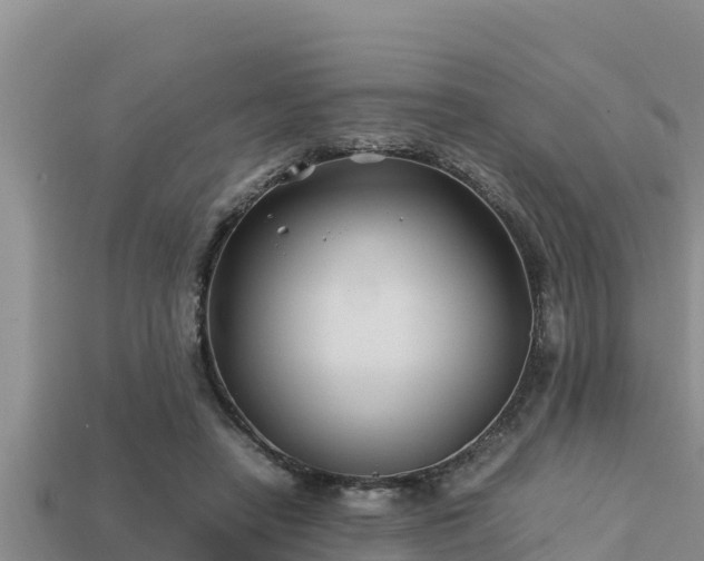 X0000113210450200909171538