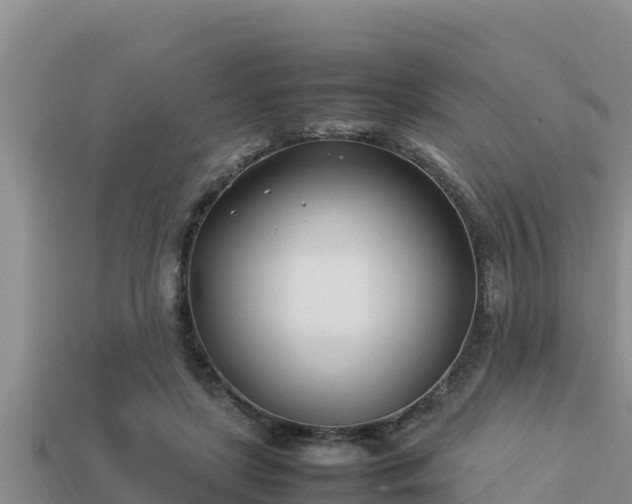 X0000113210451200909171538