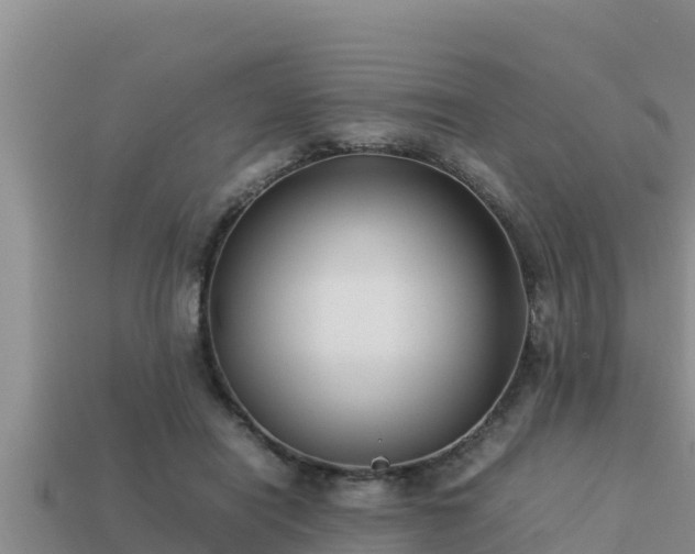 X0000113210454200909171538