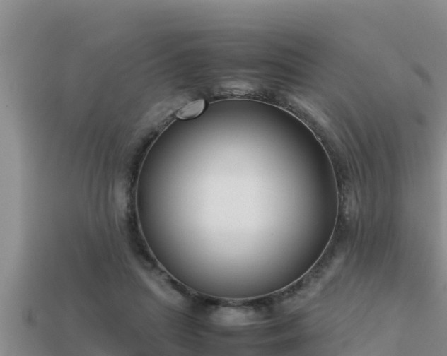 X0000113210455200909171538