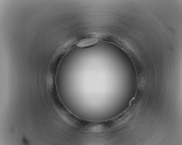 X0000113210456200909171538