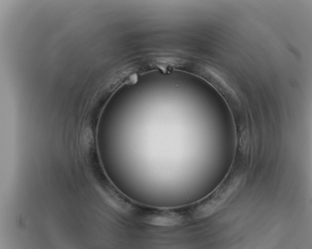 X0000113210459200909171538