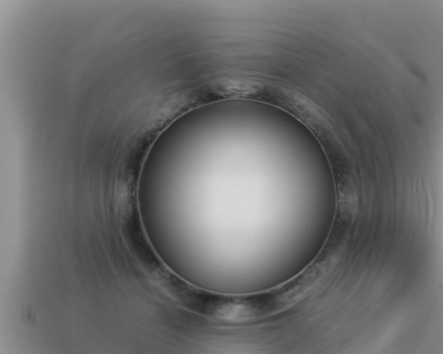 X0000113210460200909171538