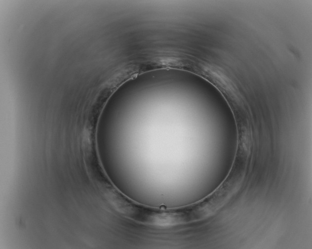 X0000113210461200909171538