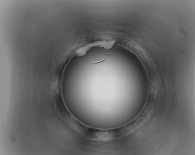 X0000113210465200909171538