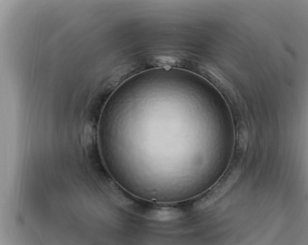 X0000113210467200909171538