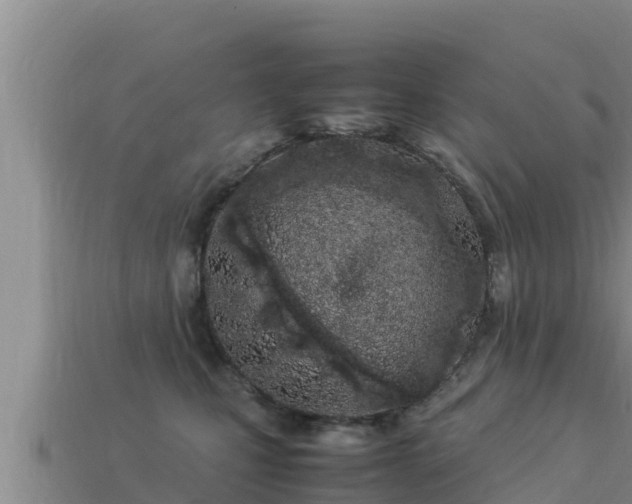 X0000113210471200909171538